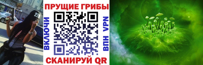 купить  цена  Сретенск  Галлюциногенные грибы Cubensis 