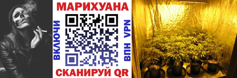 магазин продажи наркотиков  Сретенск  Шишки марихуана индика 